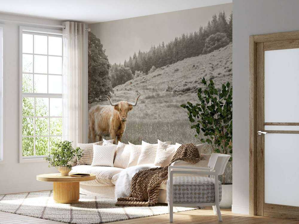 Highlander écossais avec veau