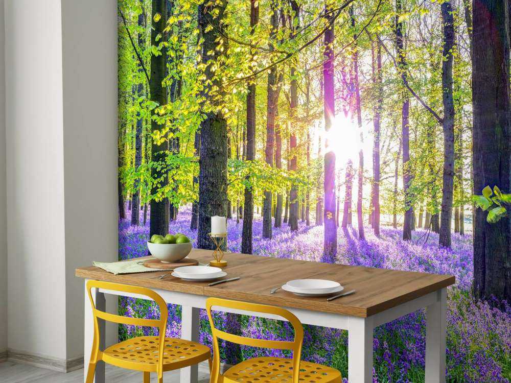 Forêt colorée