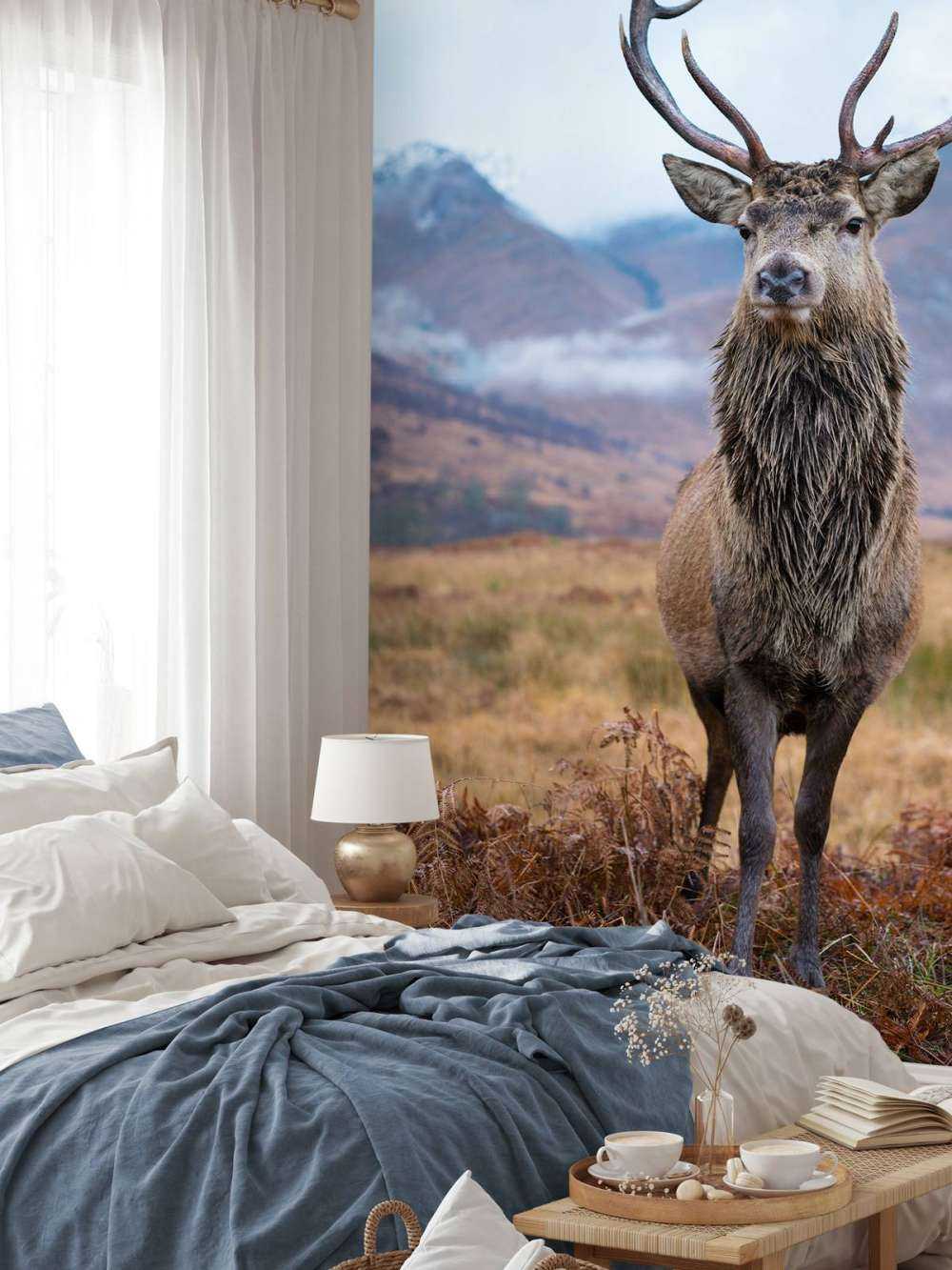 Cerf dans les montagnes