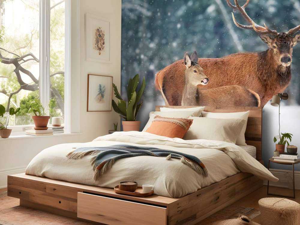 Cerf avec son faon