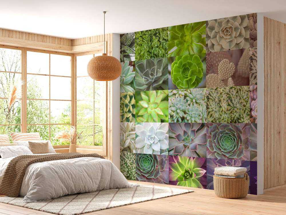 Collage de succulents