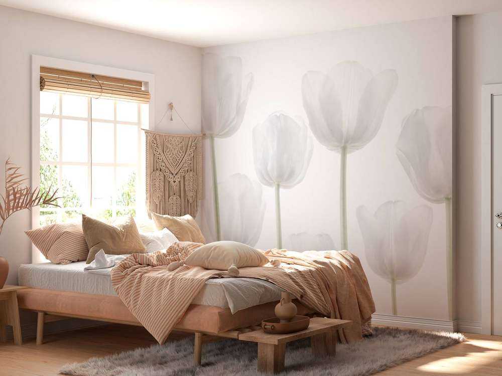 Tulipes blanches