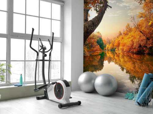 Automne orange