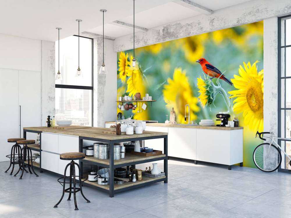 Champ de tournesols avec un oiseau rouge