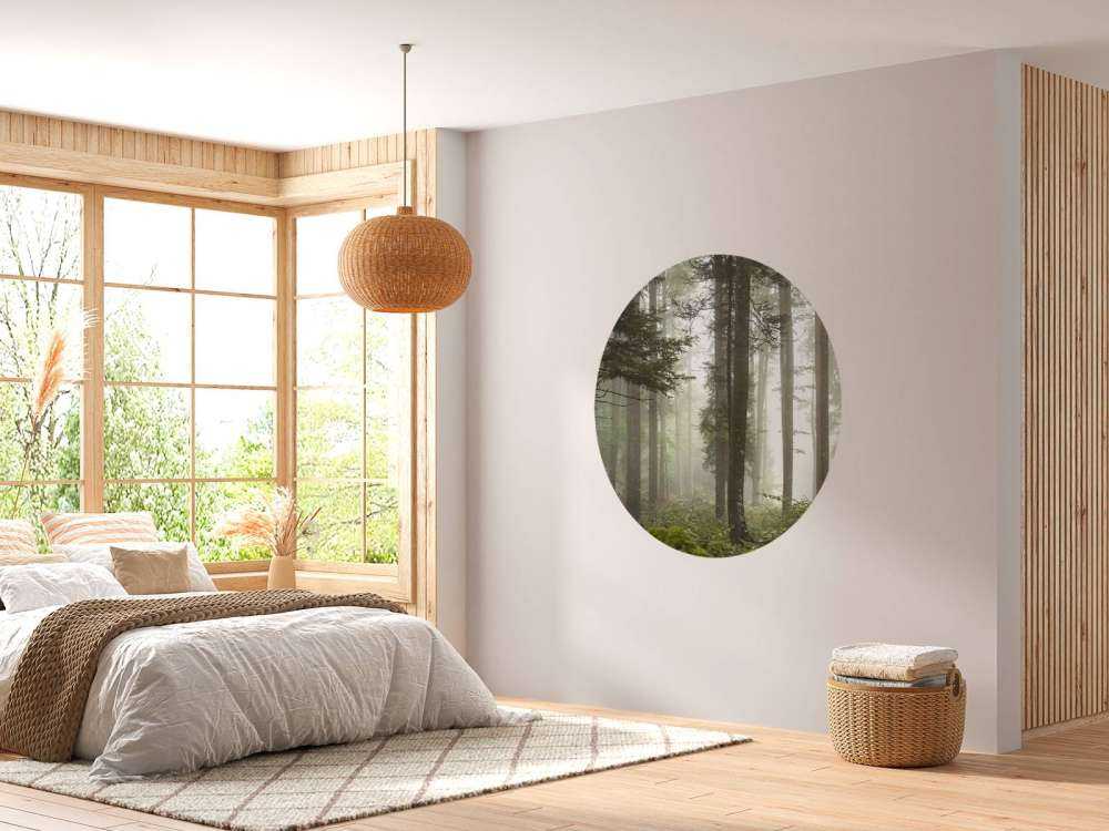 Beau paysage brumeux