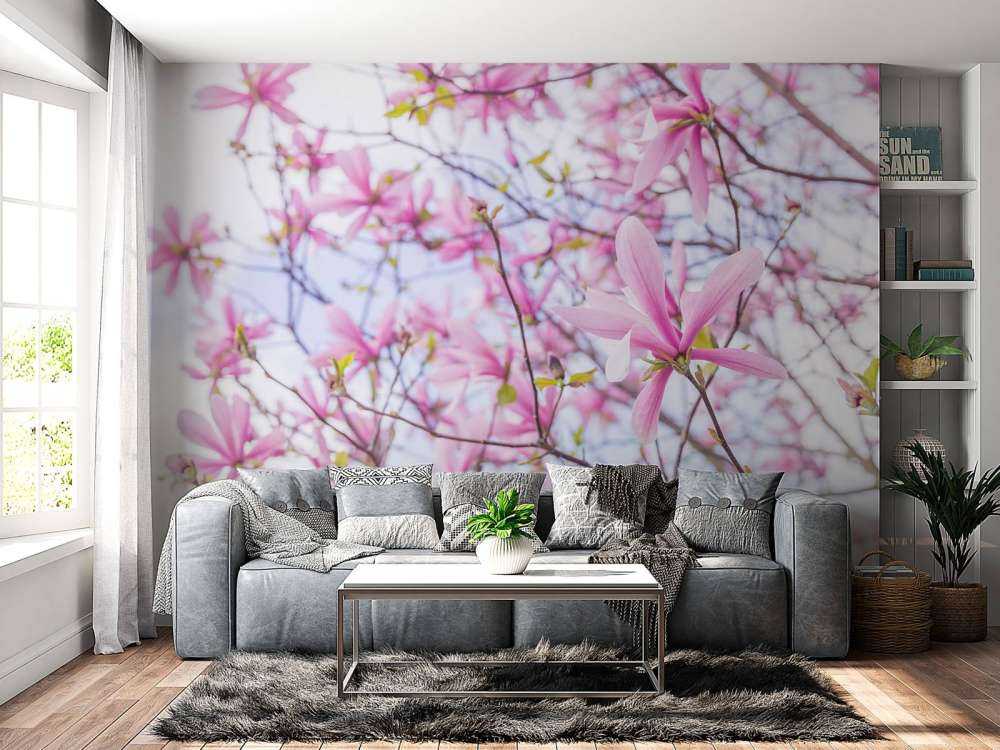 Magnolia