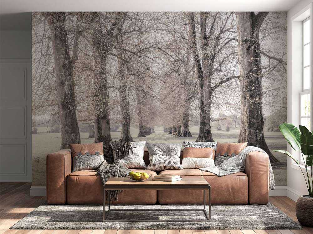 Traces de pneus entre les arbres