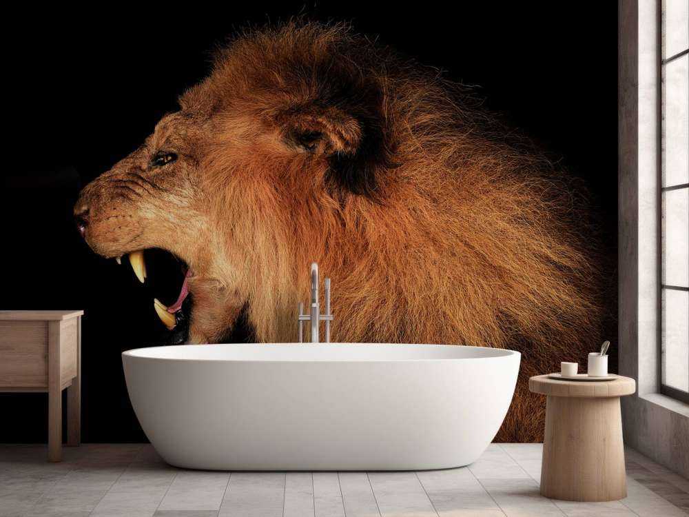 Lion rugissant