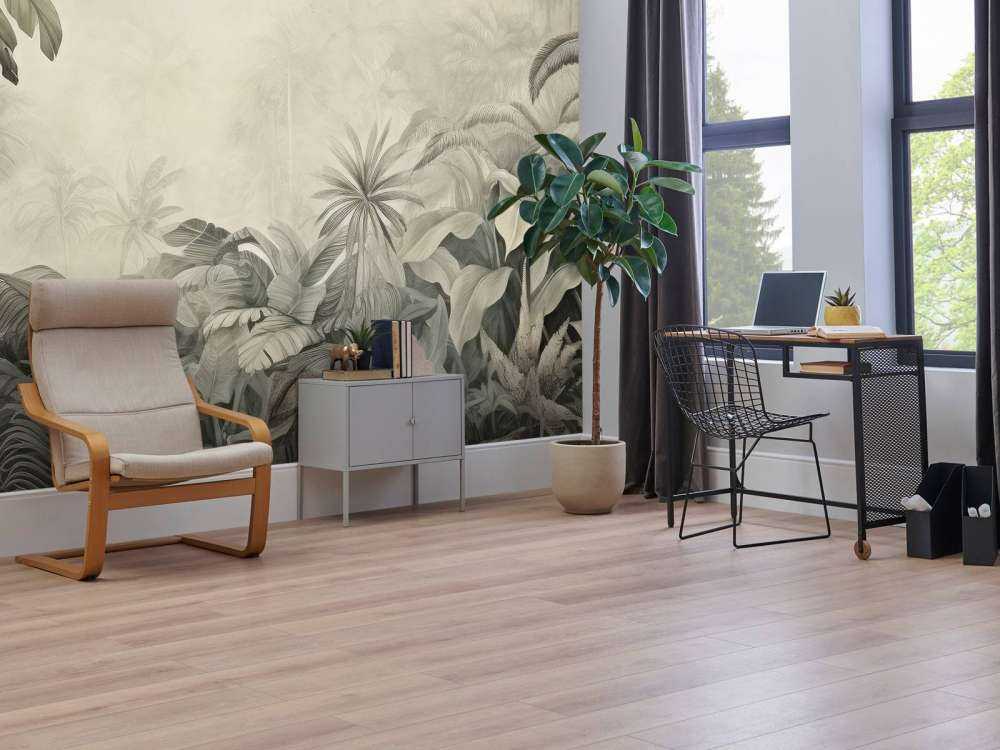 Brume Tropicale Graphique