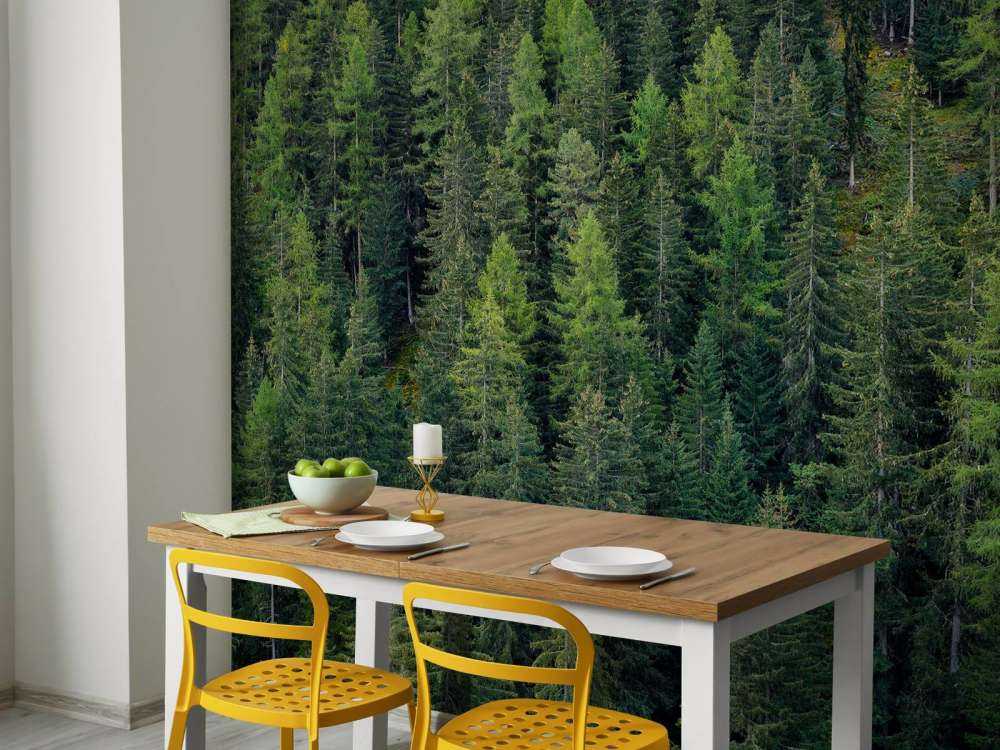 Forêt d'épicéas verts