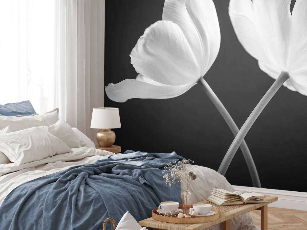 Tulipes croisées