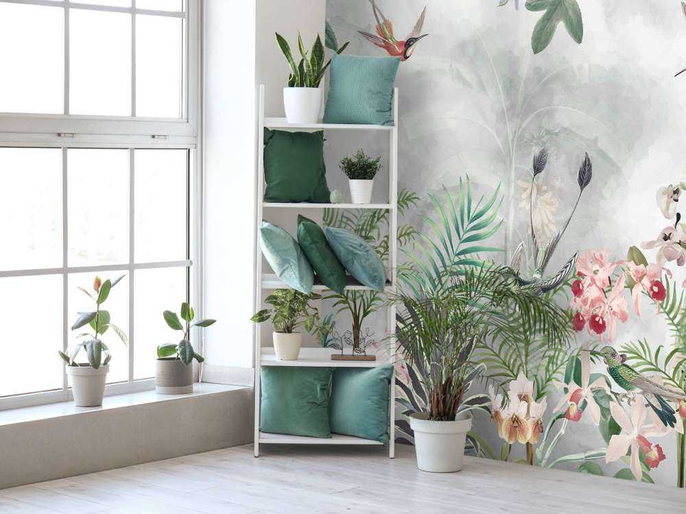 Tropic and Orchids 1