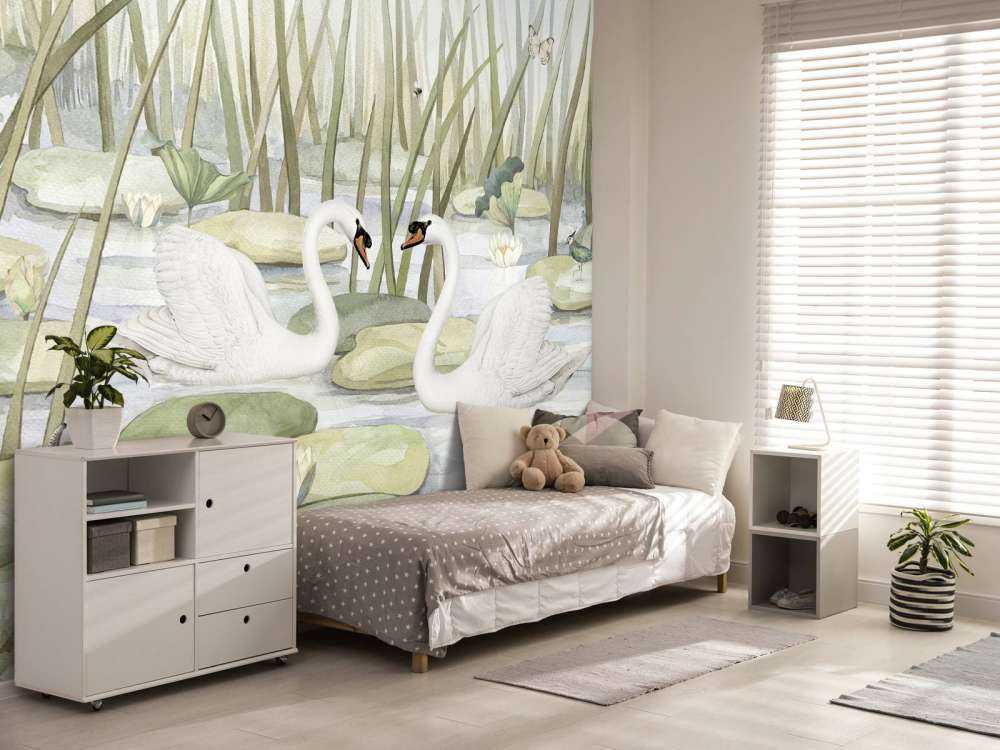 Spectacular Swans
