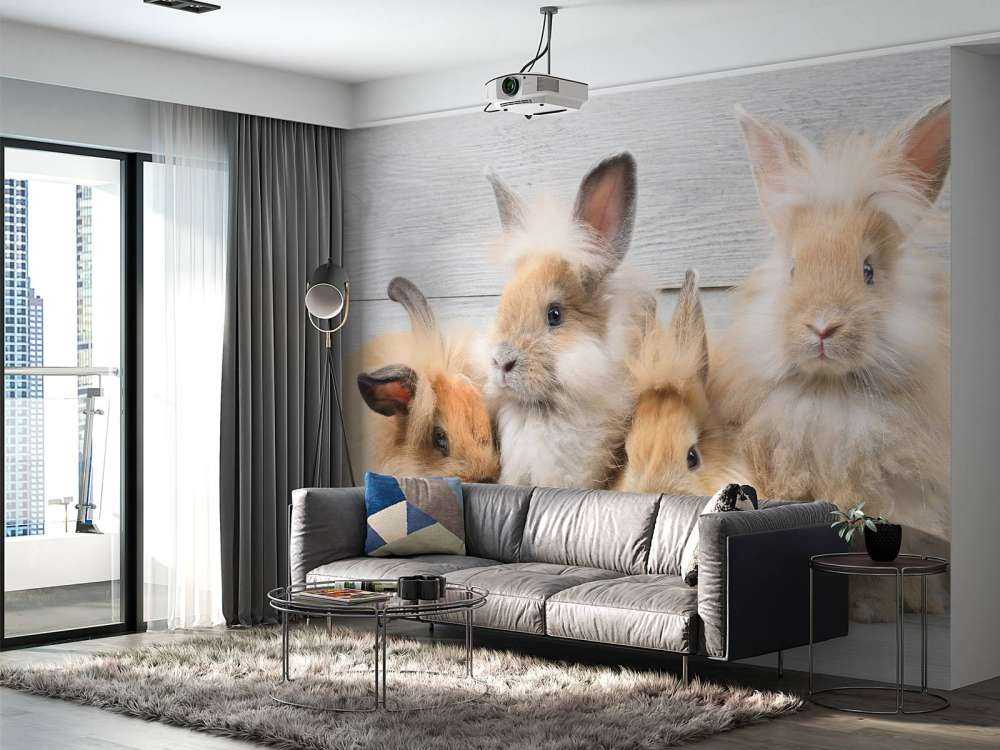 Petits lapins