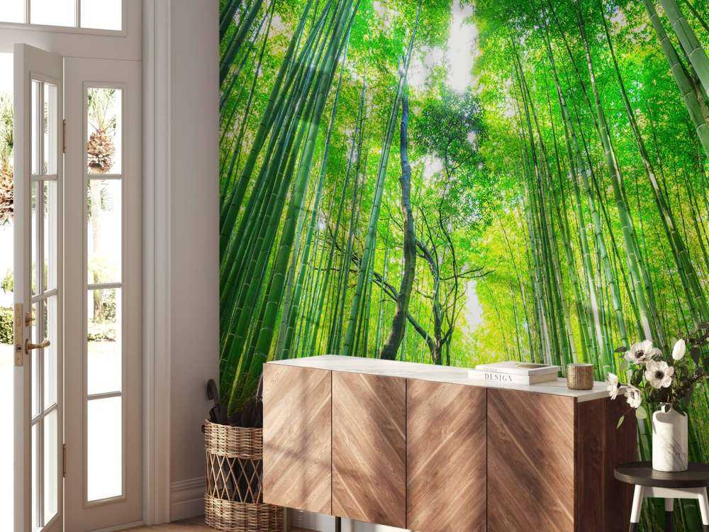 Forêt de bambous d'Arashiyama