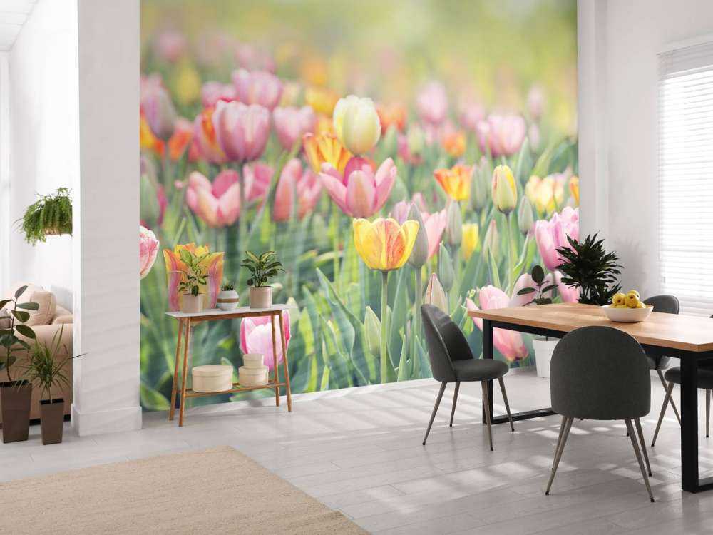 Des tulipes colorées