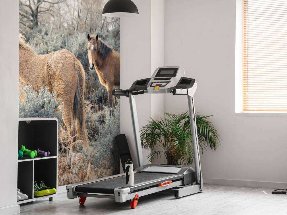 Chevaux sauvages