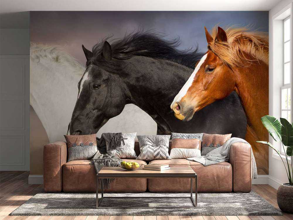 Troupeau de chevaux