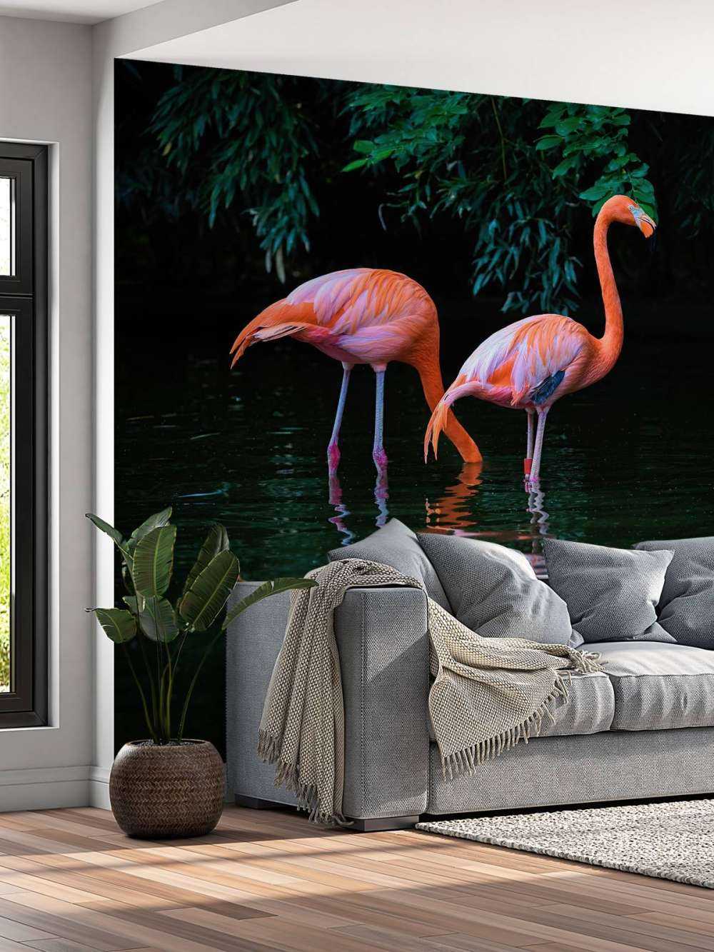 Deux flamants des Caraïbes