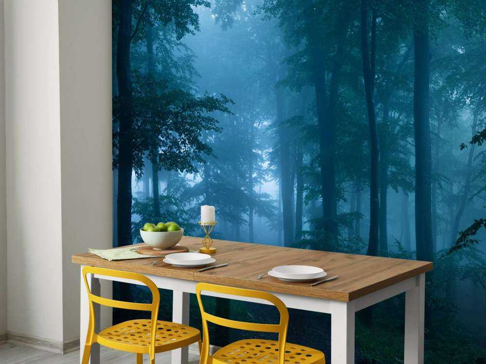Forêt nébuleuse