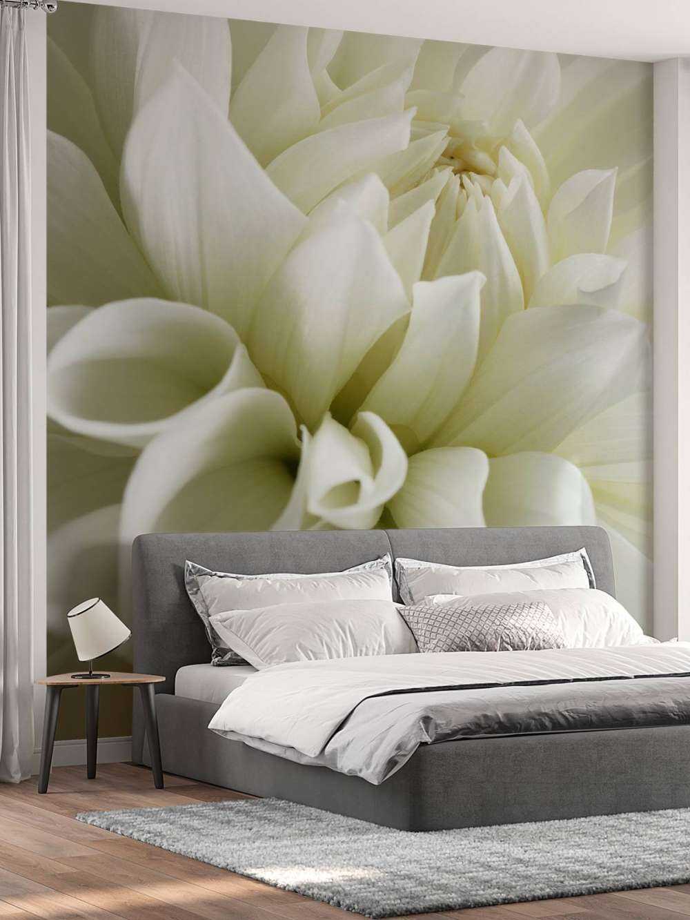 Fleur blanche
