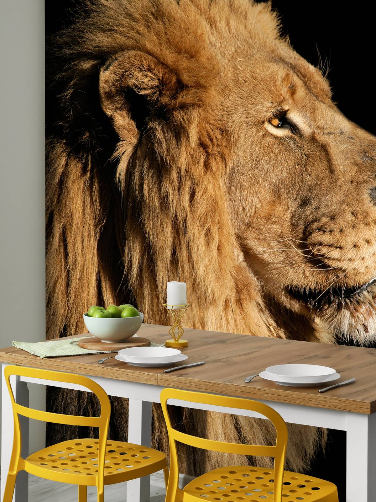 Profil latéral d'un lion