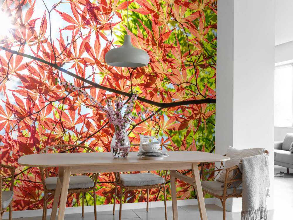 Feuilles rouges d'automne