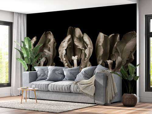 Trois tulipes