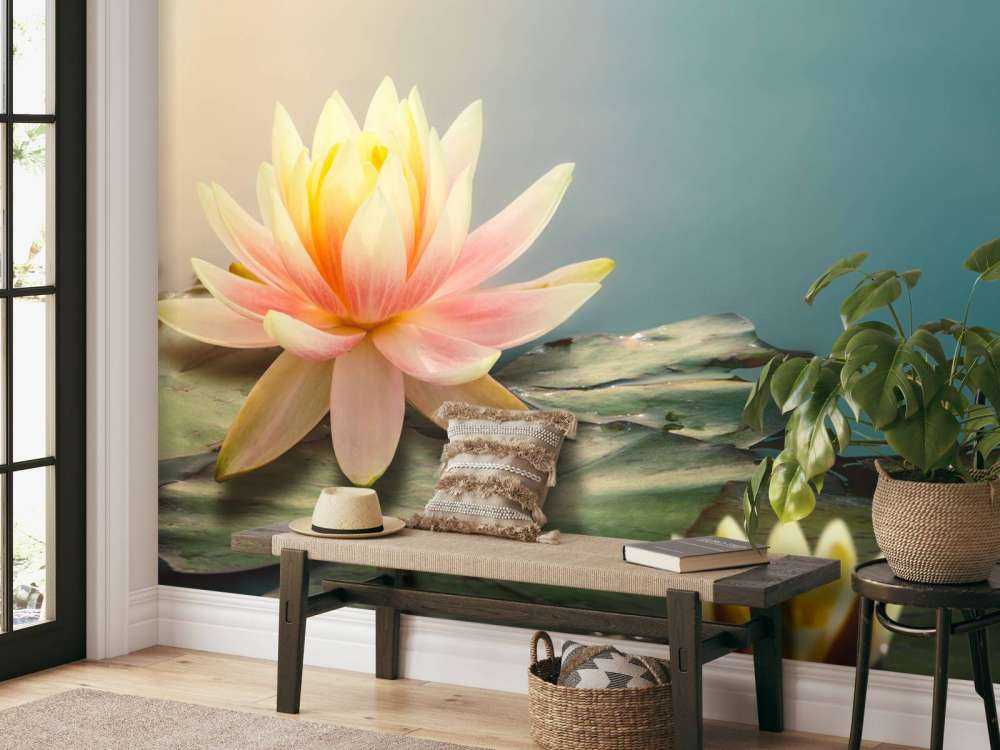 Étang avec fleurs de lotus