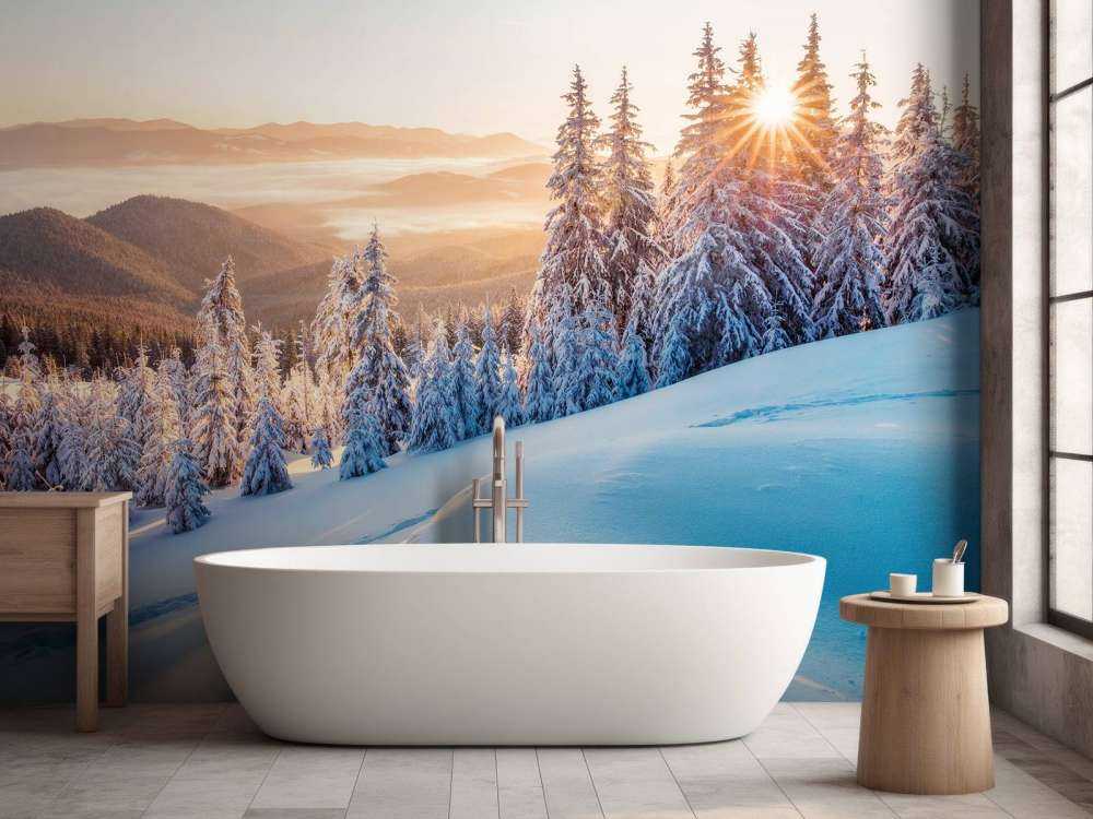 Matin d'hiver dans les montagnes